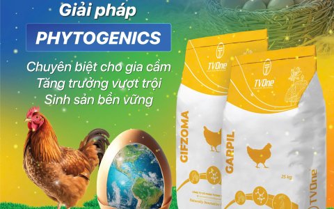 TVONE ngày thứ hai tại Vietstock 2025, hưởng ứng ngày trứng thế giới và giải pháp Phytogenics đặc biệt dành riêng cho gia cầm